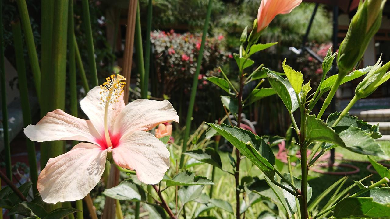 Villa Mimi Otavalo Exteriér fotografie